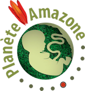 final_6149ca1c4077d00063bf865e_824126