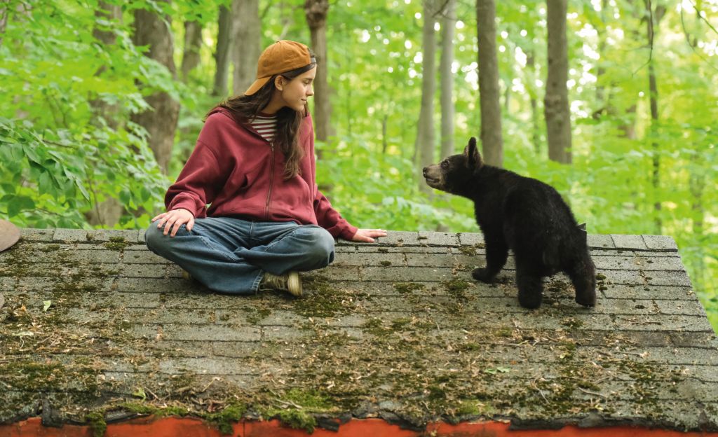 Melody pour un ours